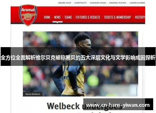 全方位全面解析维尔贝克被称黑贝的五大深层文化与文学影响成因探析